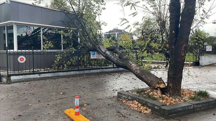 Rüzgarın Devirdiği Ağaç Polis Noktasının Üzerine Düştü