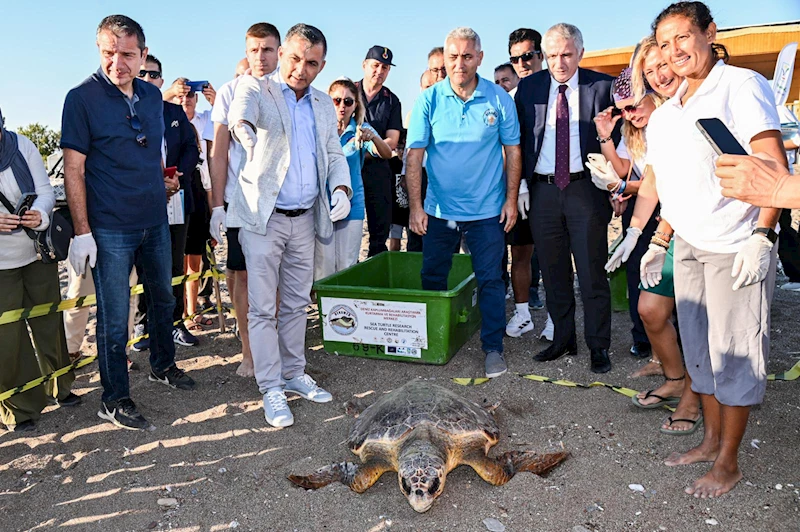 Yaralı 2 caretta caretta tedavi ve rehabilitasyon sonrası denize bırakıldı