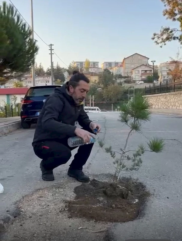 Motosiklet sürücüsünün, sokaktaki çukur için fidanlı protestosu amacına ulaştı