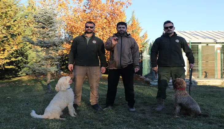 Bakanlığın eğitimli köpekleri ile trüf mantarının haritası çıkarılacak