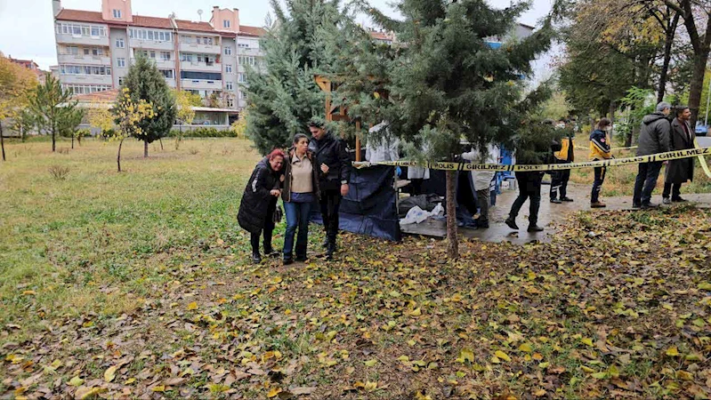 Tedavi için hastaneye giderken parkta öldü