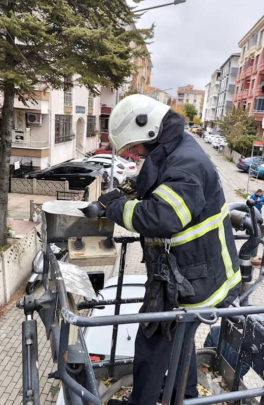  Ağaçta ipe dolanıp mahsur kalan kargayı itfaiye kurtardı