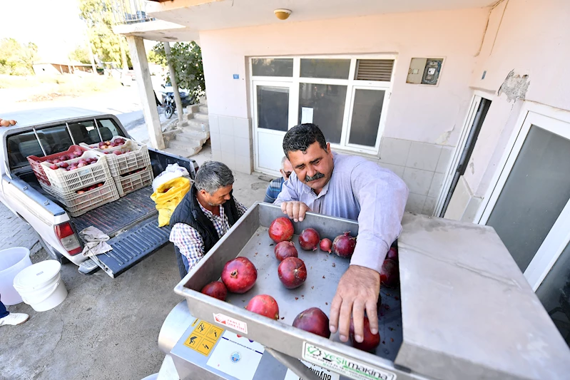 Büyükşehir’den bir ilk: Nar Taneleme Makinesi