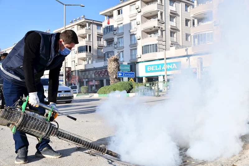 Hamamböceği ve kemirgenler gibi vektörlere karşı mücadele sürüyor