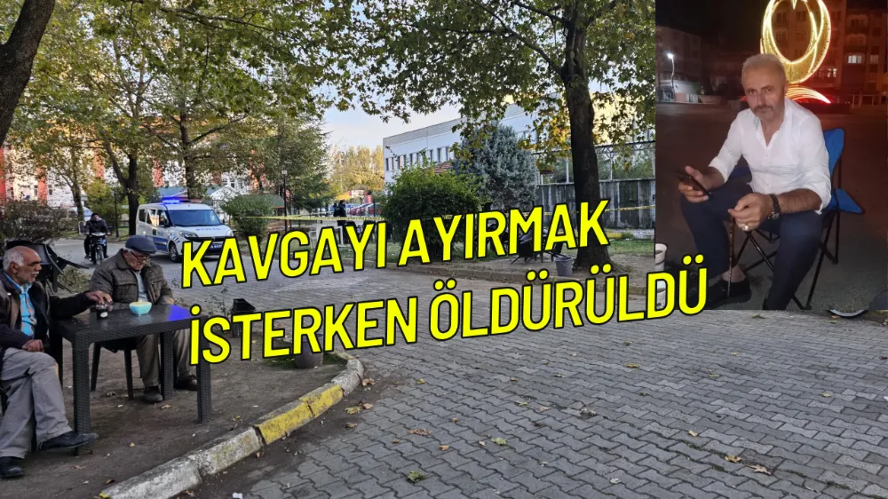 Kavgayı ayırmak isterken öldürüldü