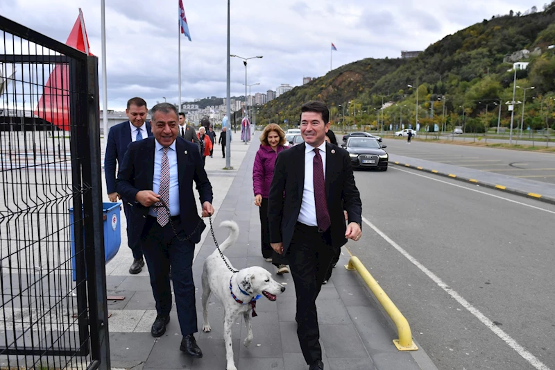 Stadyuma giren köpek sahiplendirildi