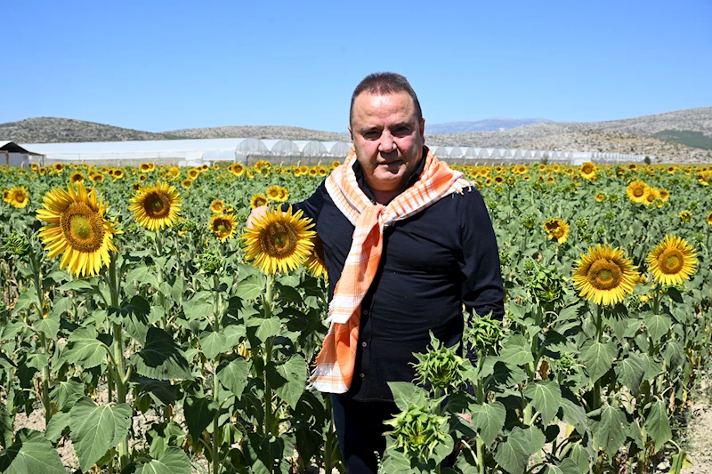 Tarımsal üretimin her aşamasında destek