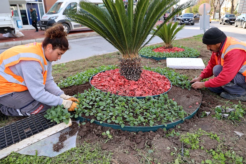 Antalya yaz- kış rengarenk