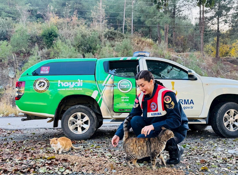 Jandarma, öğrencilere doğa ve hayvan sevgisini anlattı