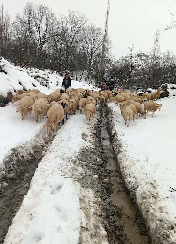 Karda mahsur kalan çoban ve ailesi kurtarıldı