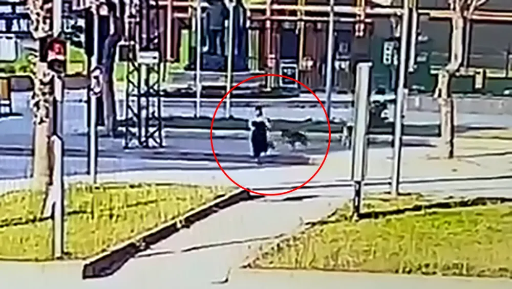 Ekmek almaya giden kadın köpeklerden kaçarken otomobil çarptı