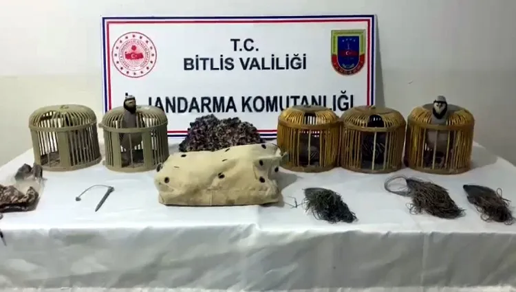 Bitlis’te keklik avcılarına para cezası