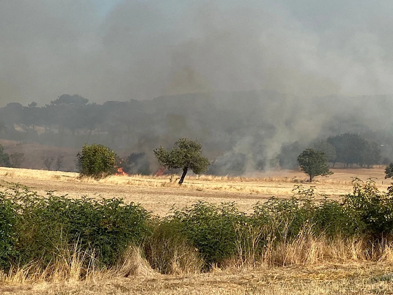 Çanakkale’deki orman yangını kontrol altına alındı