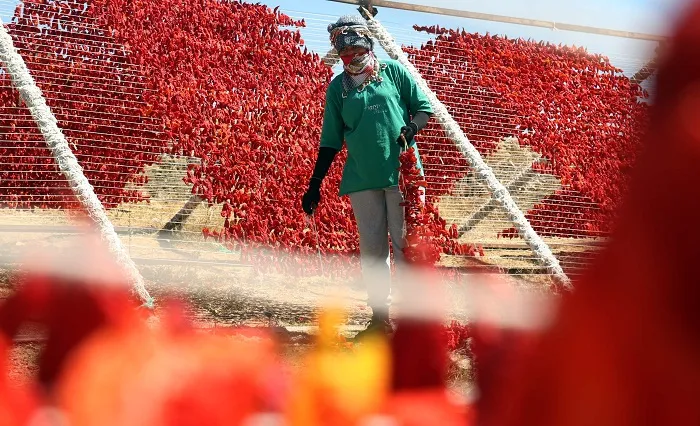 Kurutmalık sezonunda Gaziantep