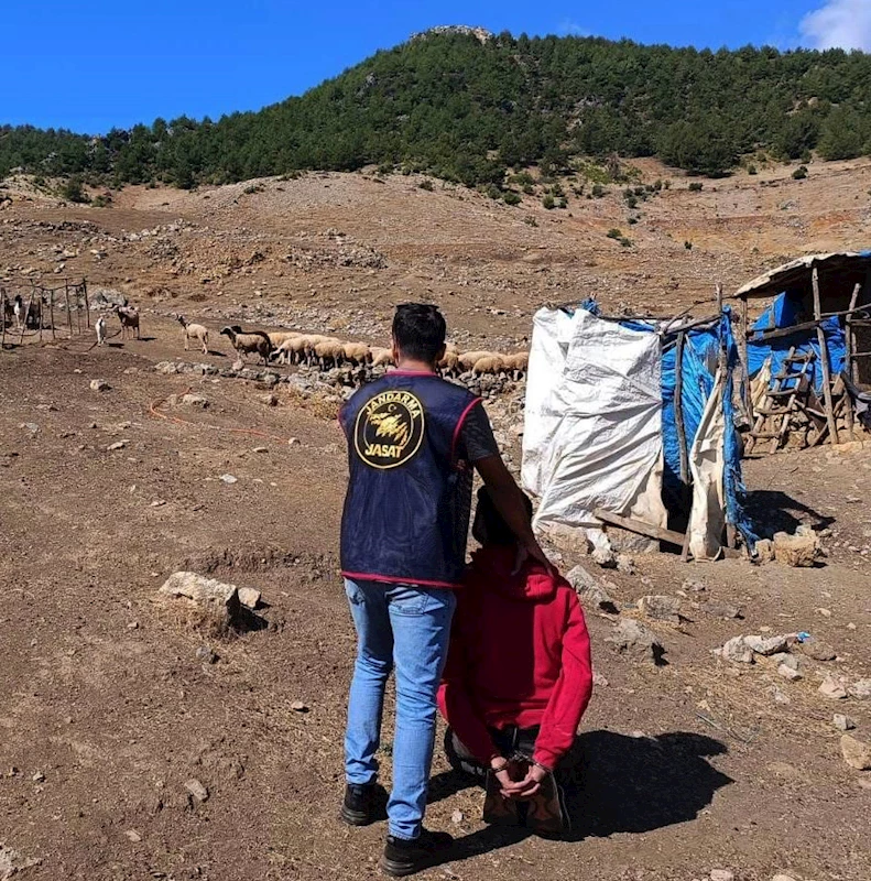 11 yıl hapisle aranan hükümlü, ormanda yakalandı