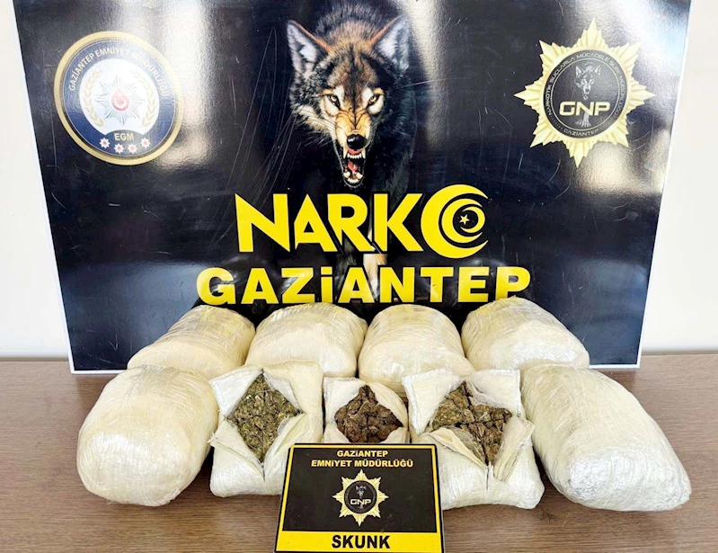 Otomobilde 5 kilo skunk ele geçirildi; 2 gözaltı