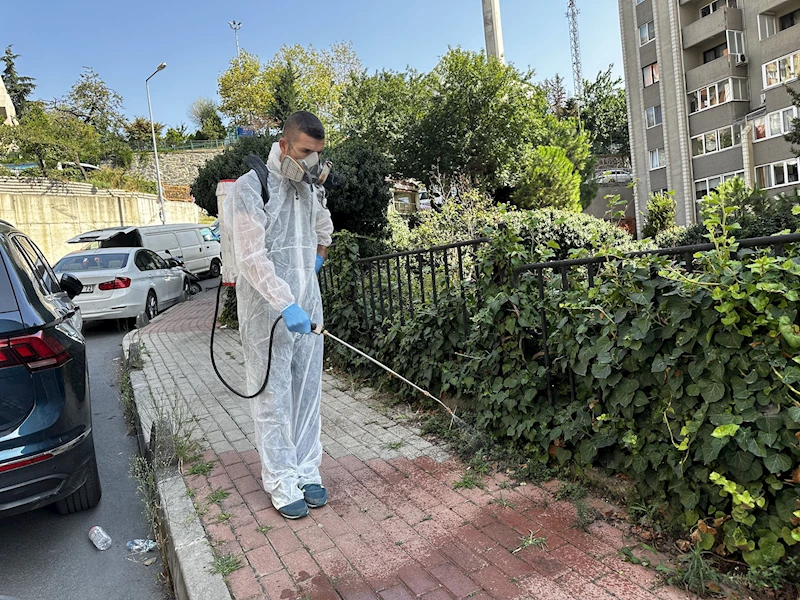 Kağıthane’de haşere ve sinek türlerine karşı ilaçlama yapılıyor