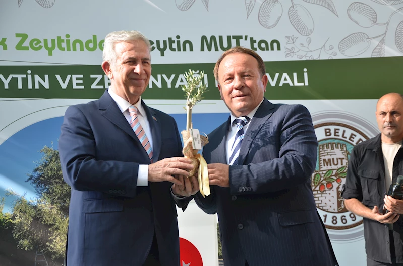 Mut Zeytin ve Zeytinyağı Festivali başladı