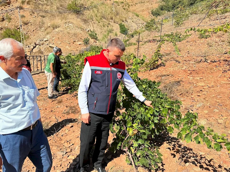 Bahçe’de telli terbiye sistemli üzüm bahçesi kuruldu