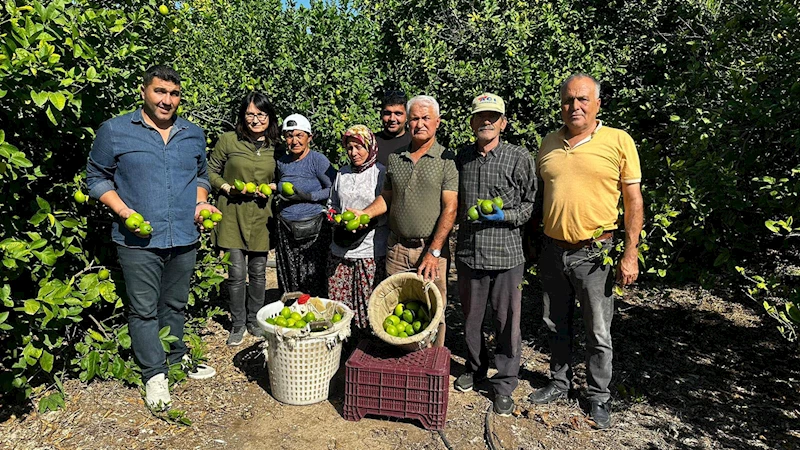 Limonun ihracat yolculuğu başladı