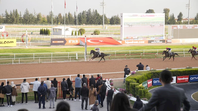 Seyhan Belediye Başkanlığı Koşusu’nu Baybars Han kazandı