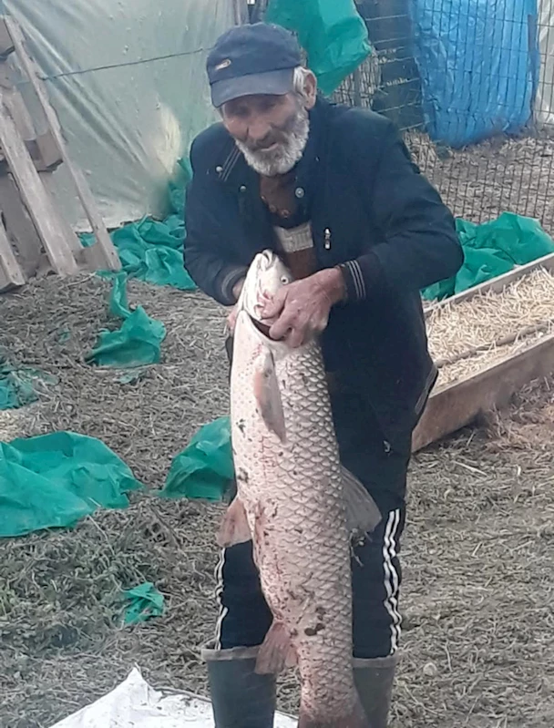 Edirne’de 13 kilo ağırlığında sazan balığı yakalandı