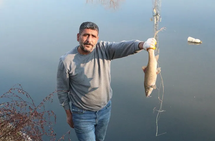 Rengi siyaha dönüp köpüren Ceyhan Nehri’nde balıklar ölüyor 