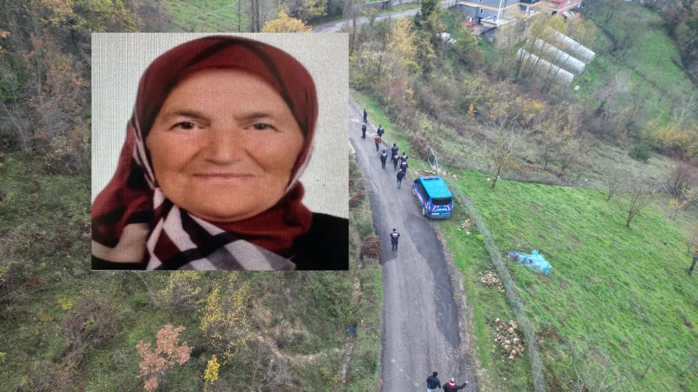 Defne yaprağı toplamaya giderken kaybolan kadını arama çalışmaları devam ediyor