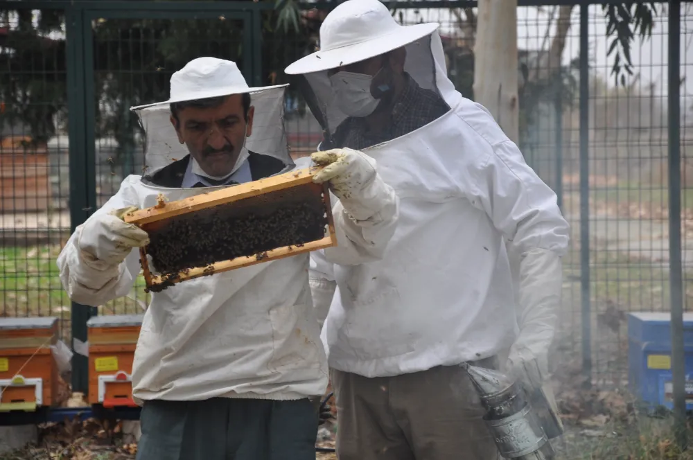 Kaliteli bal nasıl anlaşılır ; İşte püf noktaları