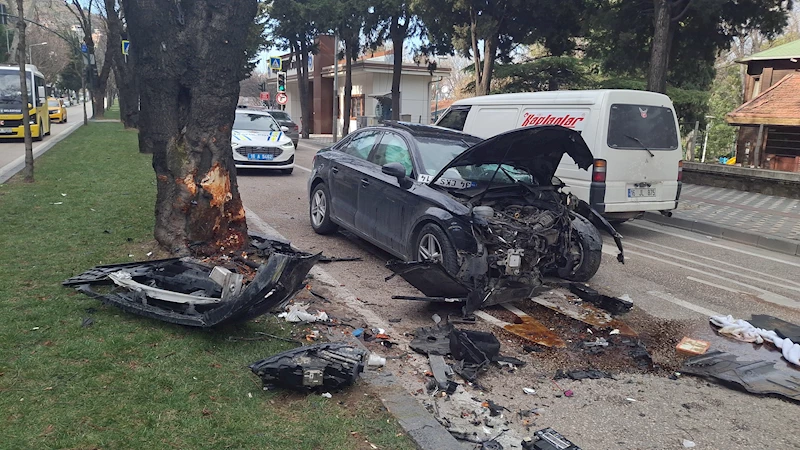 Refüjdeki ağaca çarpan otomobilin sürücüsü yaralandı