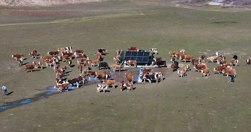 Valinin ‘serçe parmak’ örneği projeye dönüştü; 25 köyde güneş enerjisiyle hayvanlara can suyu sağlandı