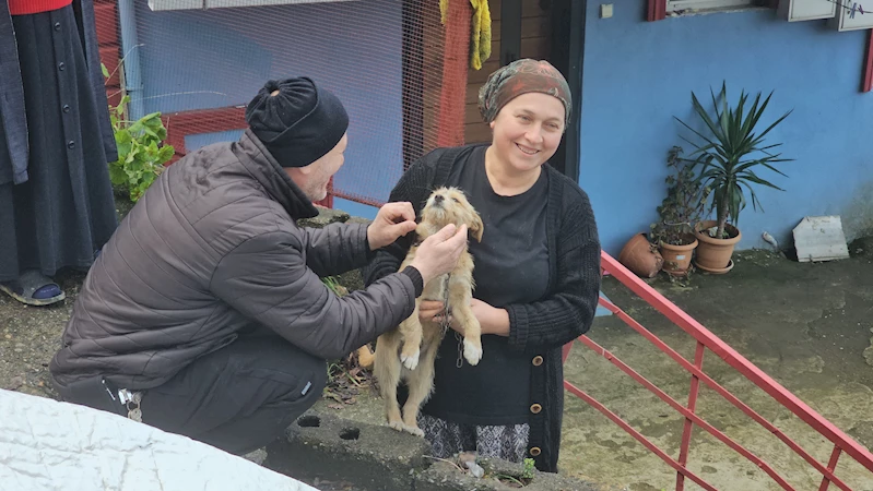 Çöp konteynerinin yanına bırakılan yavru köpeği sahiplendiler