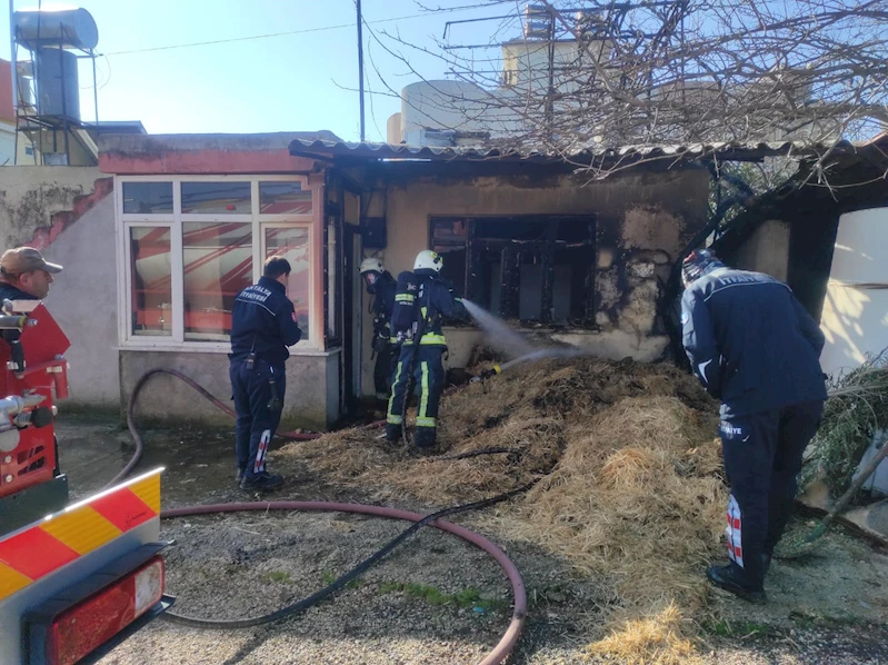 Saman yangını büyümeden söndürüldü