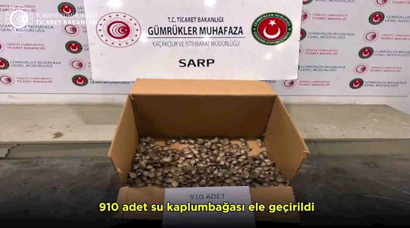 Sarp Gümrük Kapısı