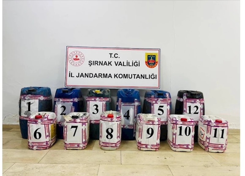 Şırnak’ta, kaçakçılık operasyonlarında 73 gözaltı