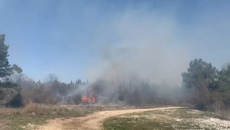 Tarım arazisinde çıkan yangın, ormana sıçradı