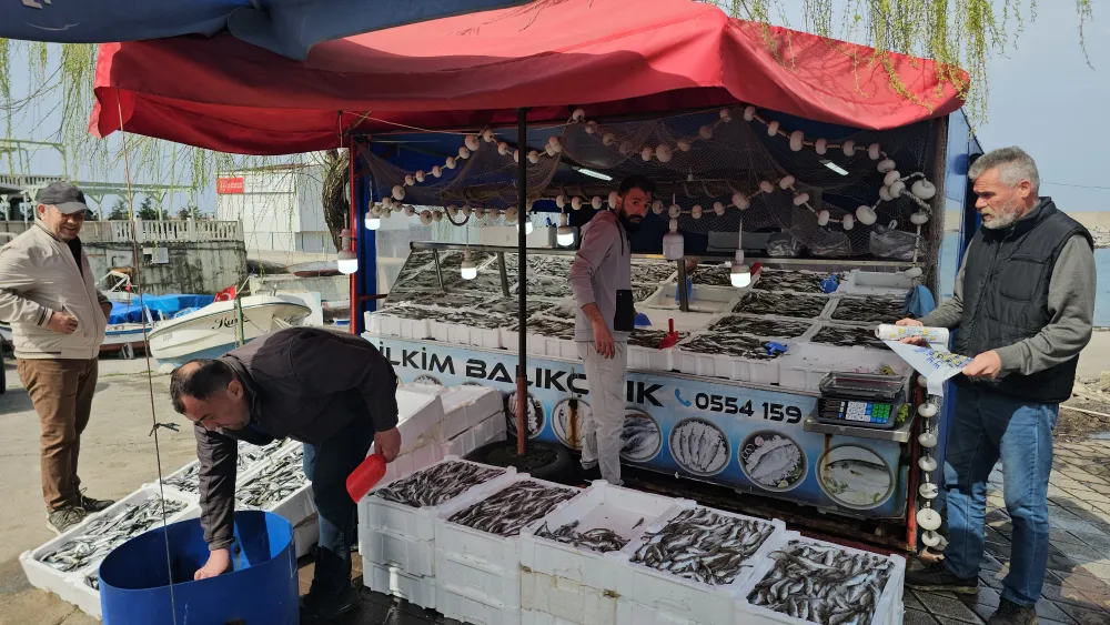 Balık avından 10 ton balıkla döndü, kilosunu 50 liradan satışa çıkardı 