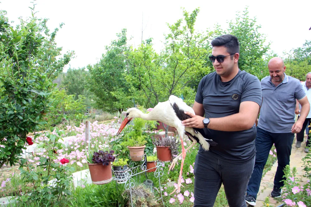 Bahçelerine düşen yaralı leyleğe sahip çıkıp, balıkla beslediler