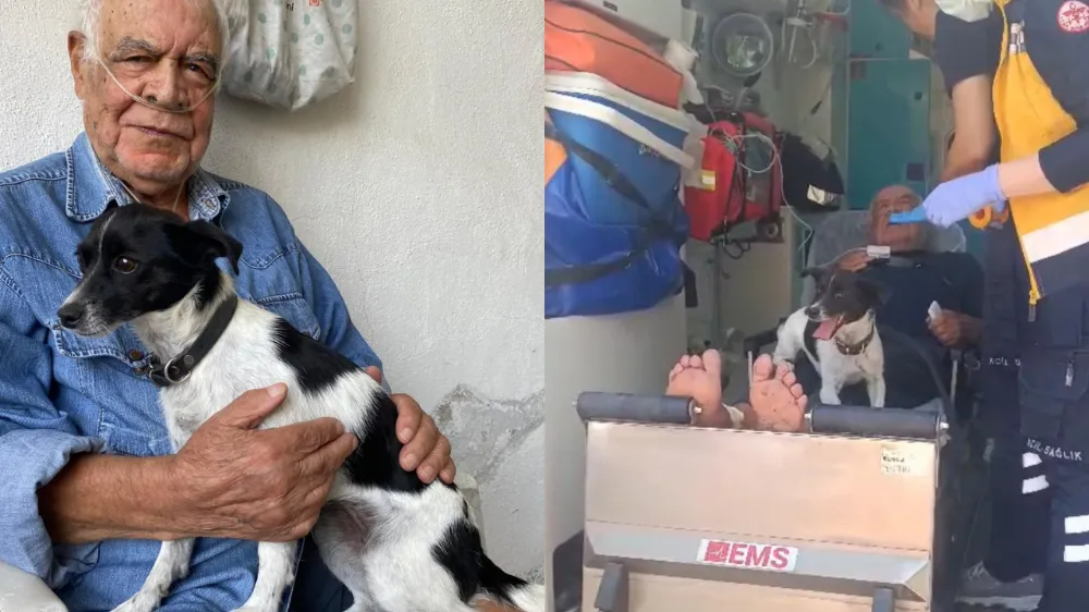 Kazada yaralanan sahibini ambulansta da yalnız bırakmadı