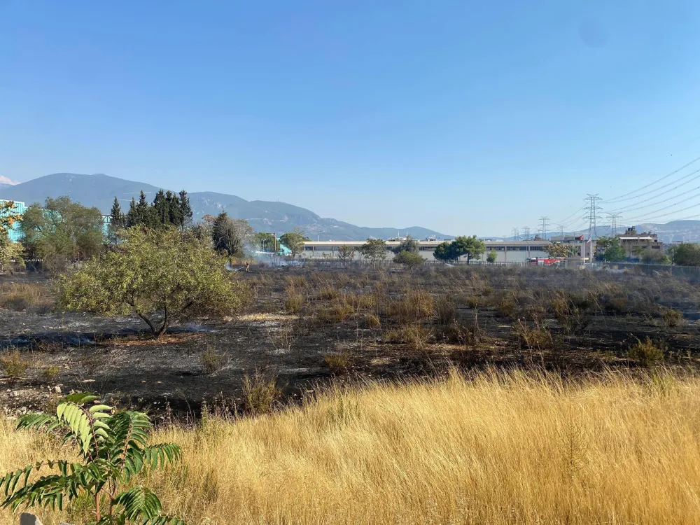İzmir’de çıkan ot yangını AVM otoparkına sıçradı; 2 otomobilde hasar oluştu