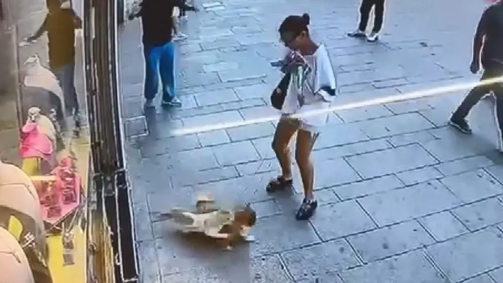 Fatih’te esnafın maskotu 
