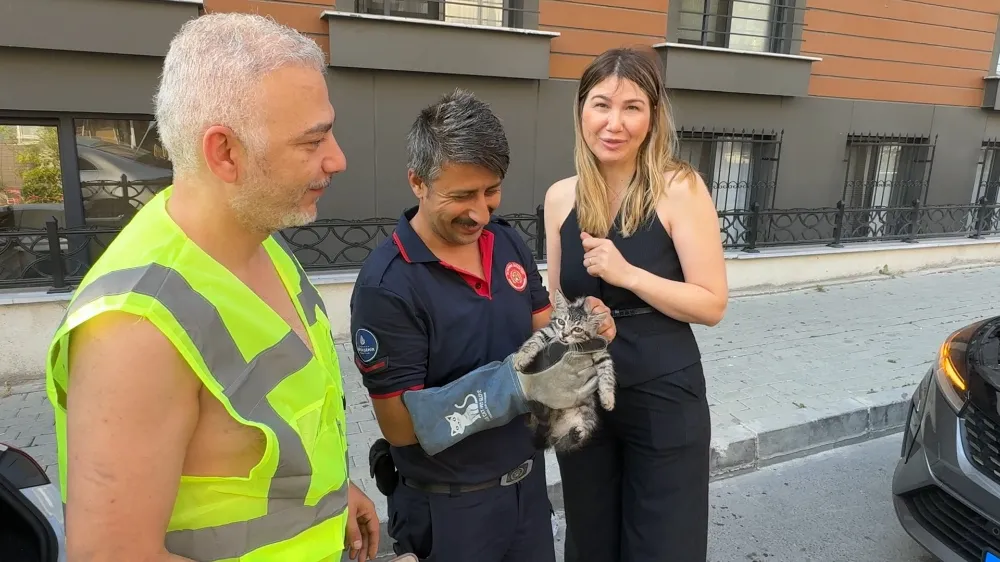 Aracın motor bölümüne sıkışan kedi ve cam balkonda mahsur kalan kumru kurtarıldı