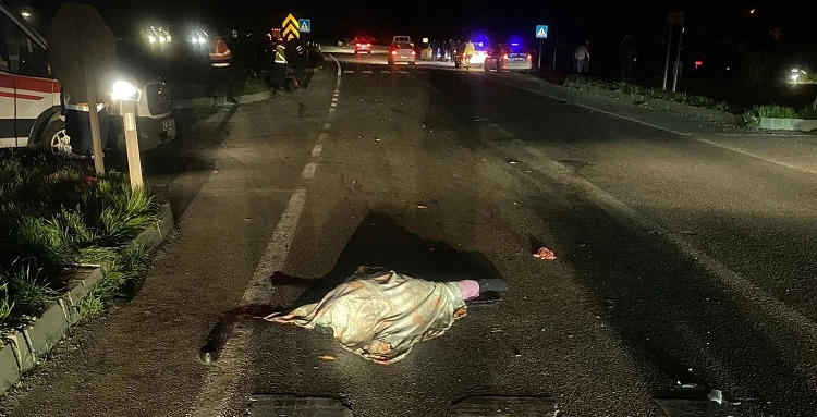 Otomobilin Yaya Geçidinde Çarptığı Kadın Öldü