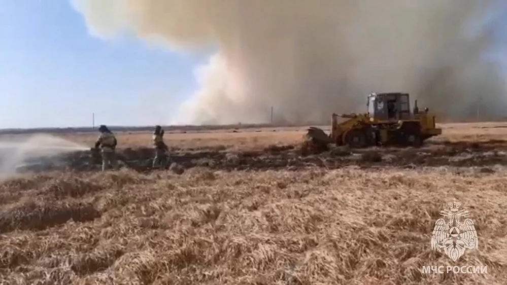 Rusya’da orman yangını sonrası çalı yangını devam ediyor